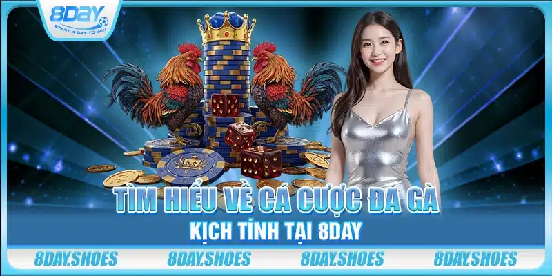 Tìm hiểu về cá cược đá gà kịch tính tại 8day